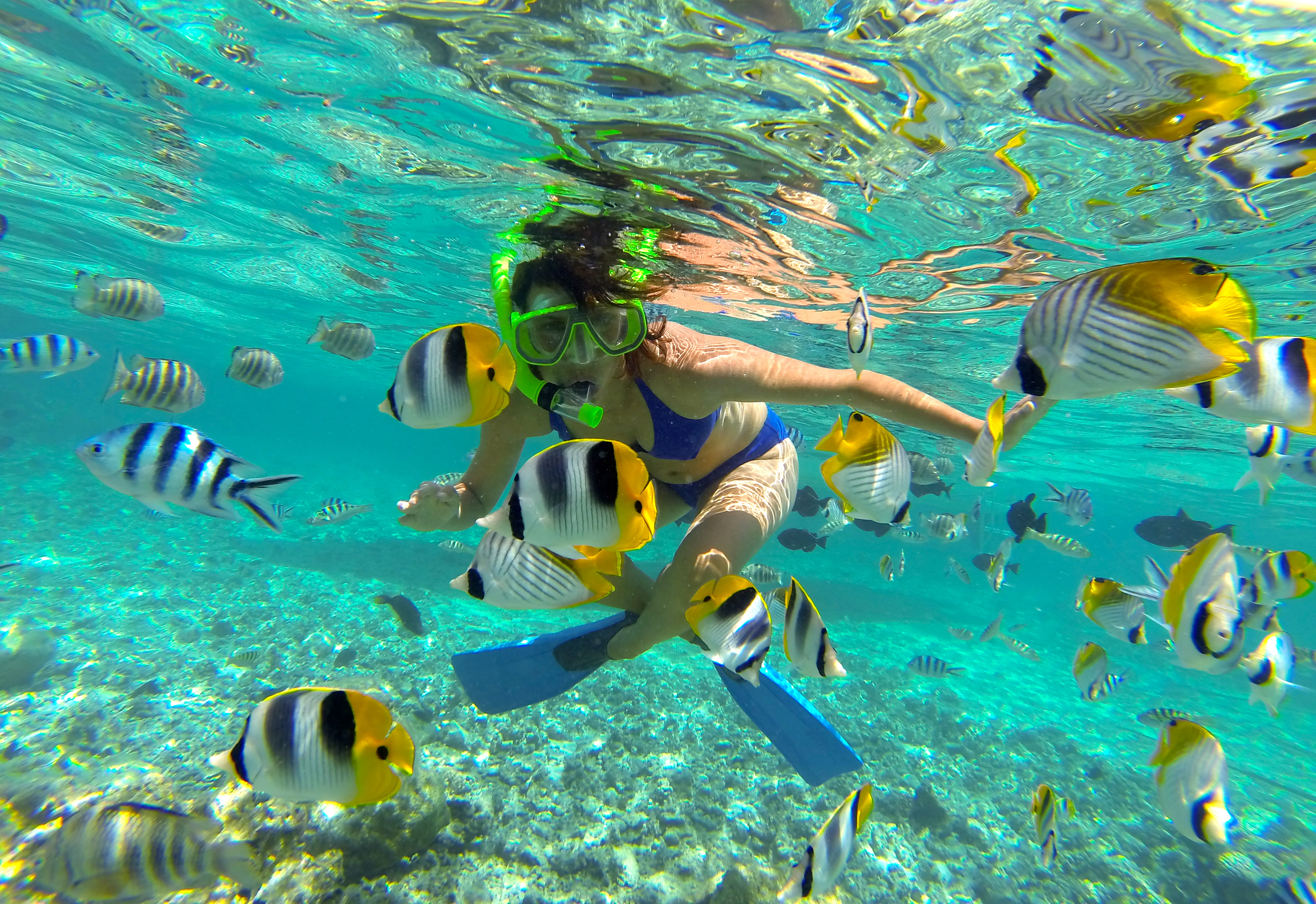 rencontre bora bora