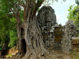 Quand y en p'us, y en a Angkor