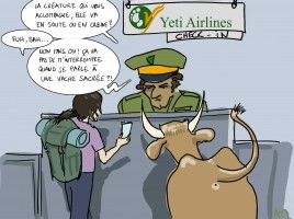 yeti-airlines